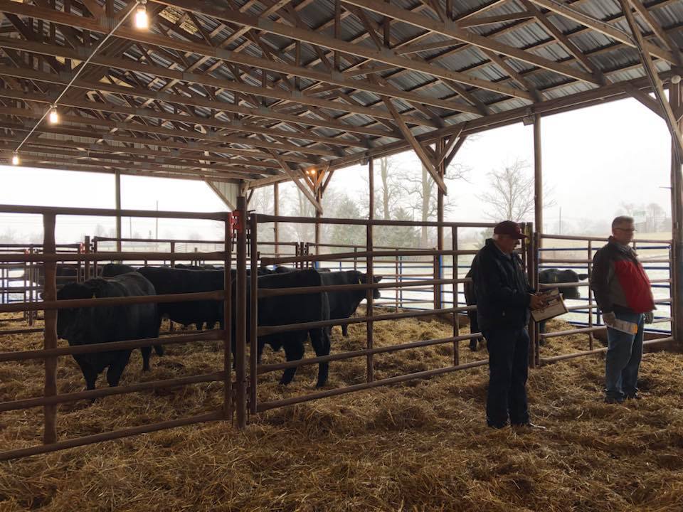 Culpeper Bull Test Feed Deposit and Management Fee